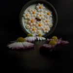 Sojas vaska svece ar margrietiņām