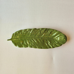 Paliktnis "Spalva" - Attēls 2