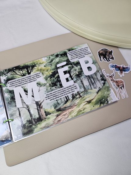 Lipekļu grāmata "Dzīvnieku burtiņi". Lieliska dāvana bērnam. Mācies radoši burtiņus ar dzīvniekiem.