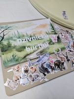 Lipekļu grāmata "Dzīvnieku burtiņi". Lieliska dāvana bērnam. Mācies radoši burtiņus ar dzīvniekiem.