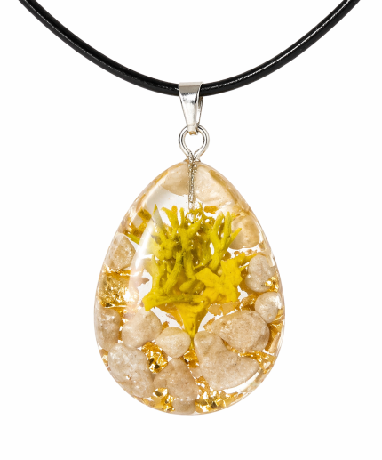 kaklarota ar kulonu dabas pieskāriens