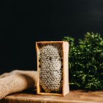 Šūnu medus rāmītī “Bites Spēks”