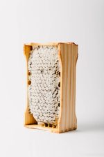 Dāvanu komplekts - Šūnu medus rāmītī un bišu vaska svece "Saulespuķe" - Attēls 2