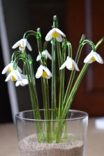 Stikla figūra - SNIEGPULKSTENĪTE - Attēls 2