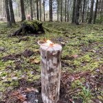 Zviedru lāpa, Swedish torch