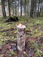 Zviedru lāpa, Swedish torch