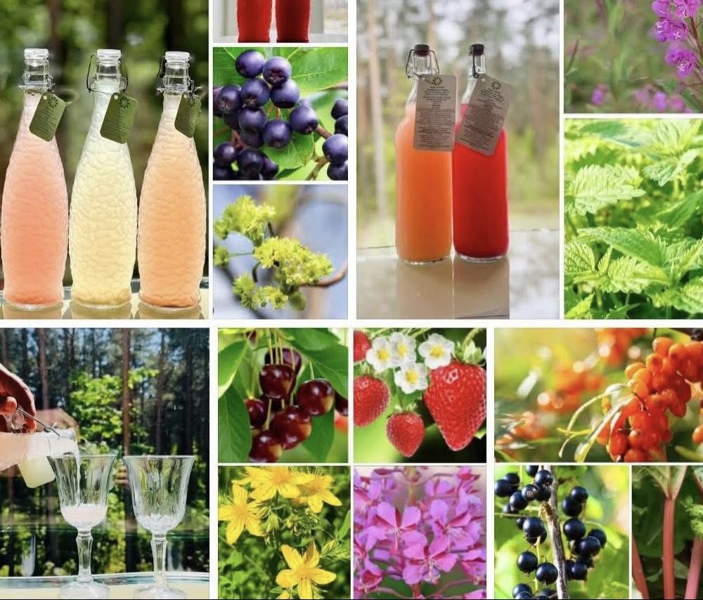 Enzīmu fermentēts dzēriens