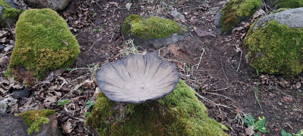 Betona podiņš / trauks