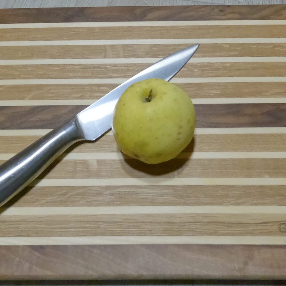 Koka griežamdēlītis