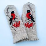 Sieviešu cimdi ar izšuvumu / filcējumu