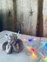 Kazas piena ziepes DOMĪGAIS AMORS - Attēls 2