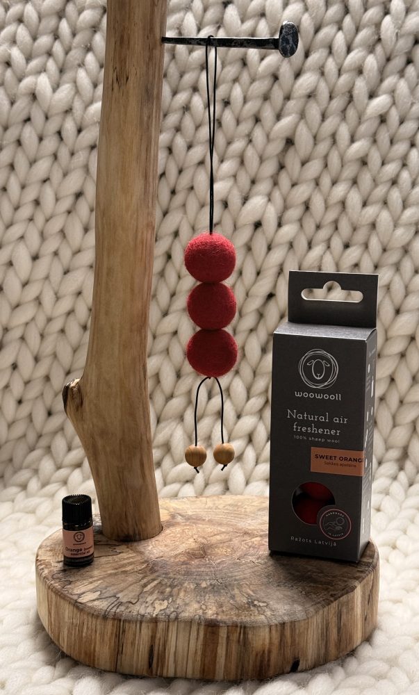 Dabīgs gaisa atsvaidzinātājs SALDAIS APELSĪNS