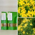 Asinszāles tēja - Attēls 2