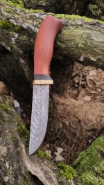 Skaistais Ziemassvētku Damaskas nazis - Attēls 4