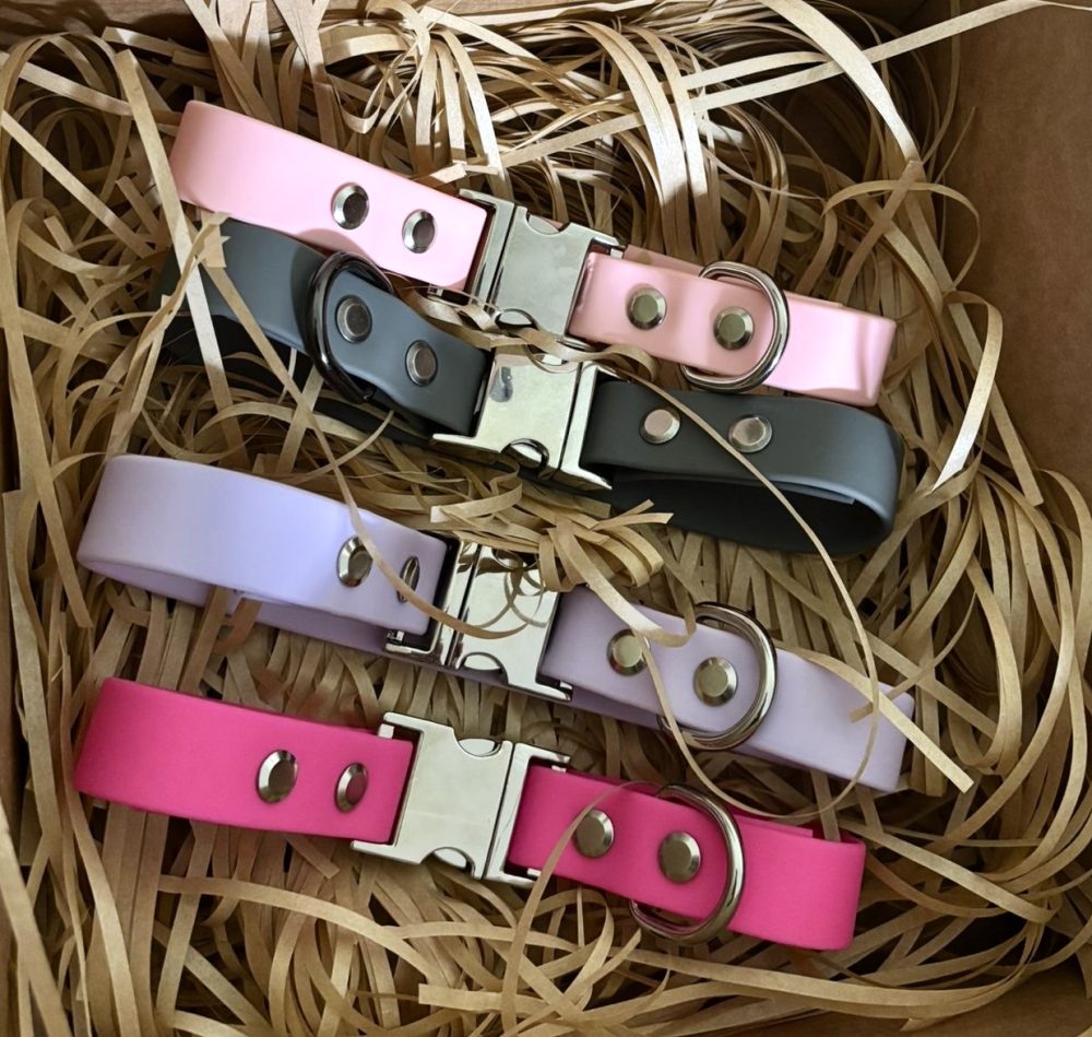 Mitrumizturīga suņu kakla siksniņa