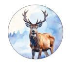 Uzlīmes dāvanām - Attēls 15