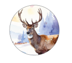 Uzlīmes dāvanām - Attēls 14