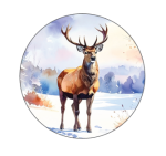 Uzlīmes dāvanām - Attēls 13