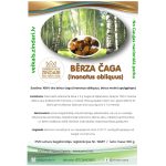 BĒRZA ČAGA - Attēls 2