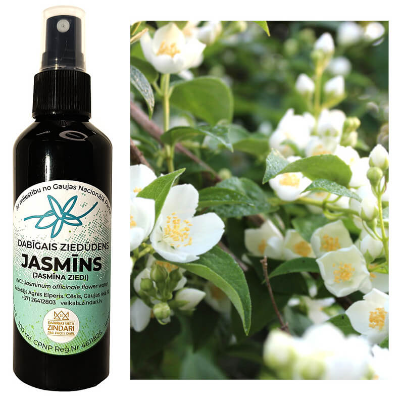jasmins-4 Dabīgais ziedūdens (hidrolāts) JASMĪNA ZIEDI - Attēls 1