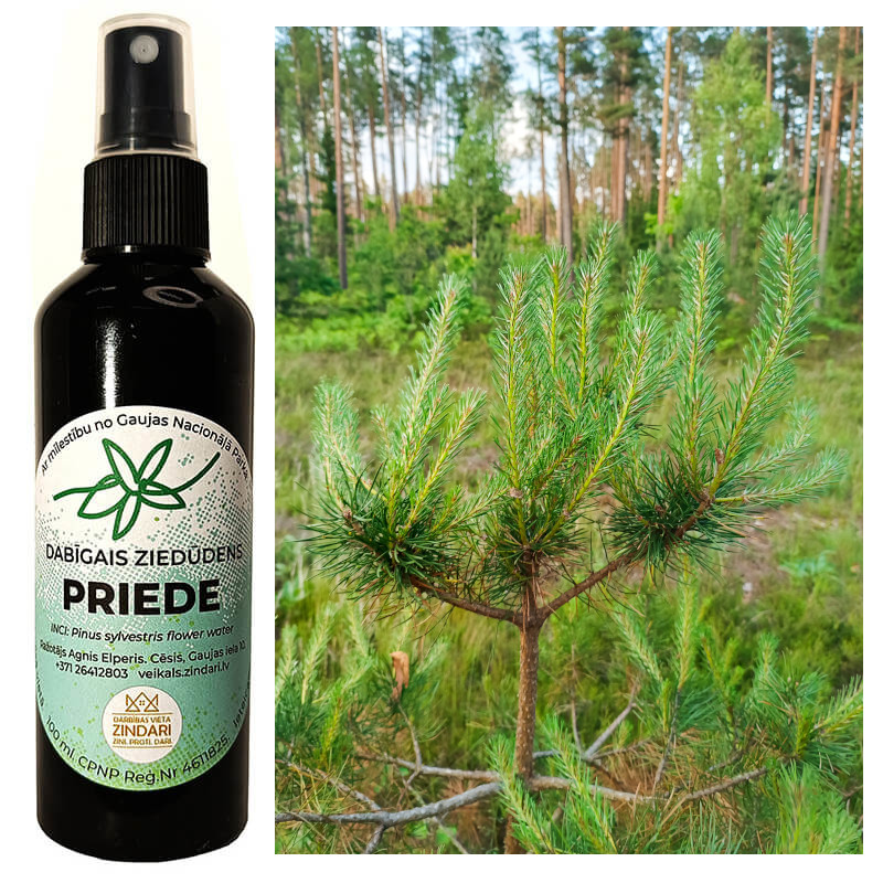 Dabīgais ziedūdens (hidrolāts) PRIEDE