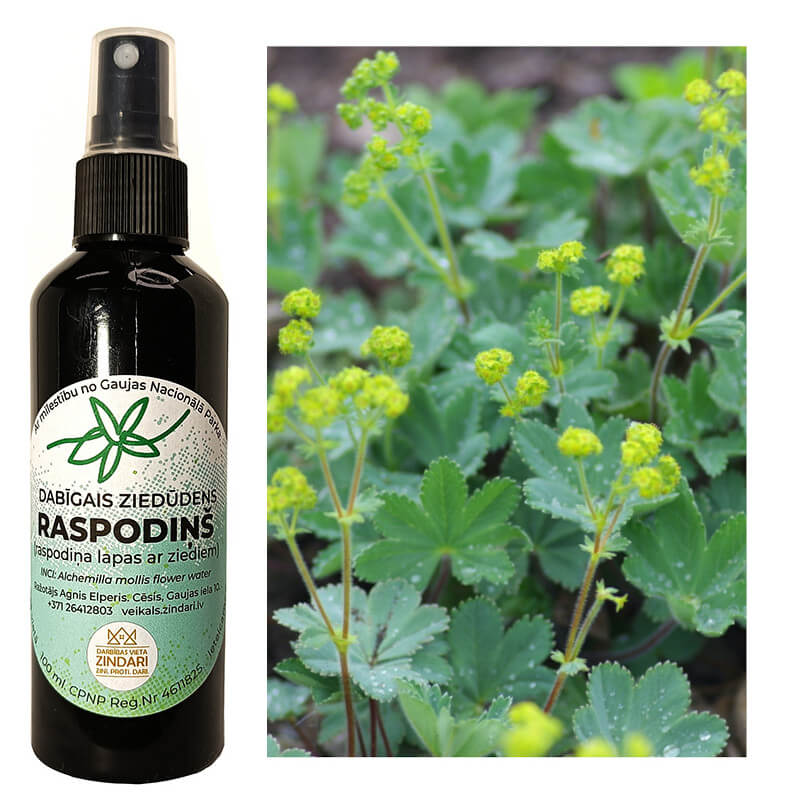 raspodins-4 Dabīgais ziedūdens (hidrolāts) RASPODIŅŠ / RASKRĒSLIŅŠ - Attēls 1