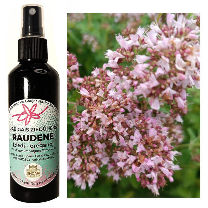 raudene-1 Dabīgais ziedūdens (hidrolāts) RAUDENE (oregano) - Attēls 1