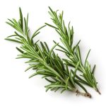 Dabīgais ziedūdens (hidrolāts) ROZMARĪNS - Attēls 4