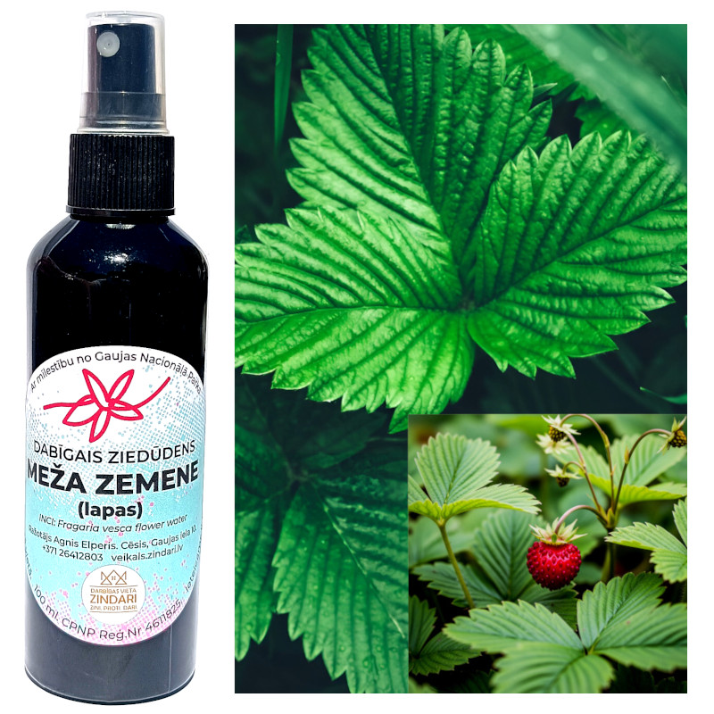 zemene Dabīgais ziedūdens (hidrolāts) MEŽA ZEMENES (lapas) - Attēls 1