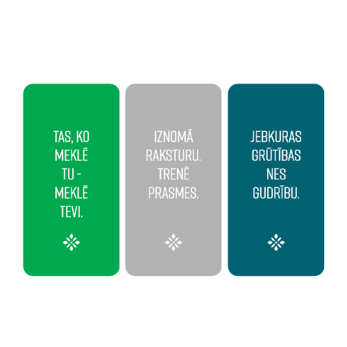 Auto gaisa atsvaidzinātāju komplekts (3gab.), vīrietim