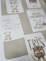 Mēneškartītes puisītim. Dāvana raudzības. Dāvana uz raudzībām puisītim. Ikmēneša kartītes mazulim.