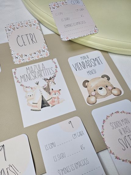 Mazuļa mēneškartītes. Lieliska dāvana raudzībās. Mēneškartītes meitenei. Ikmēneša kartītes