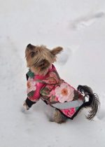 Chillbe Ziemas jaka mazam sunim – šūta pēc individuāliem mēriem - Attēls 4