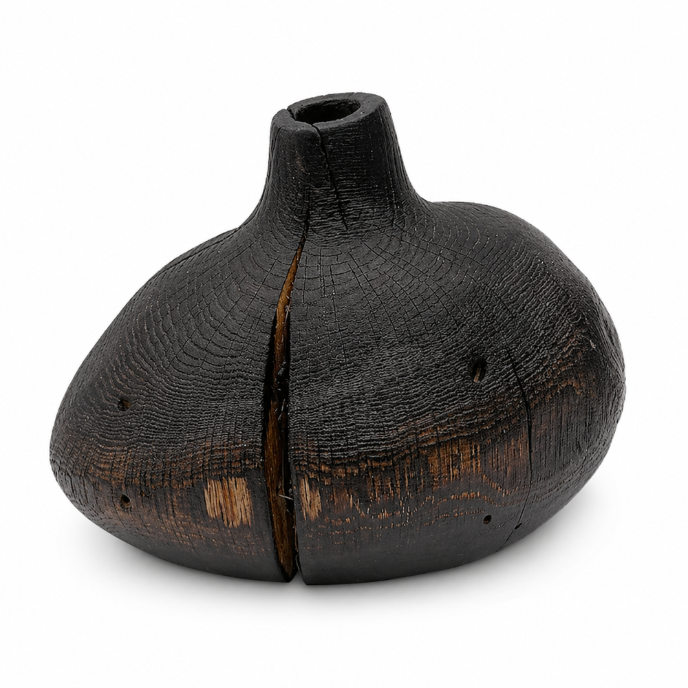 melna ozolkoka vāze