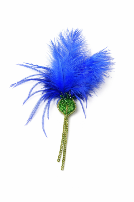 broša ar zilām spalvām