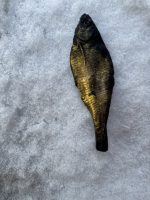 Ziepes - suvenīrs "Vobla" - Attēls 3