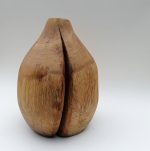 Koka vāze – Dabīgais osis - Attēls 5