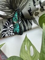 Broša “Taurenis” - Attēls 3