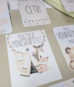 Mēneškartītes Kate