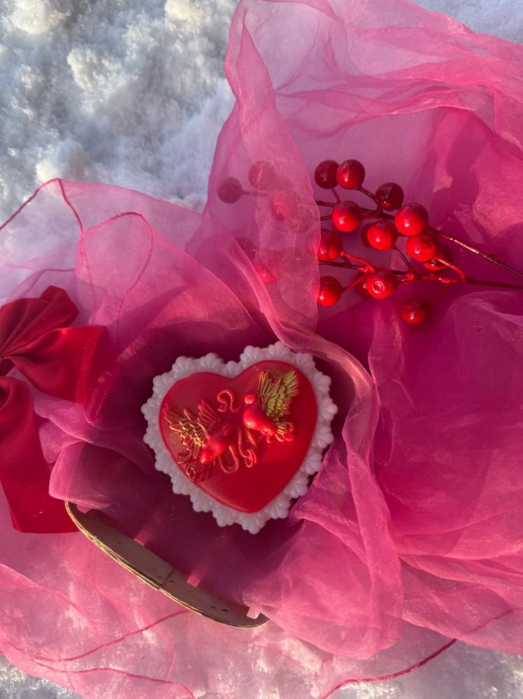 Ziepes "Valentīndienas balodīši"