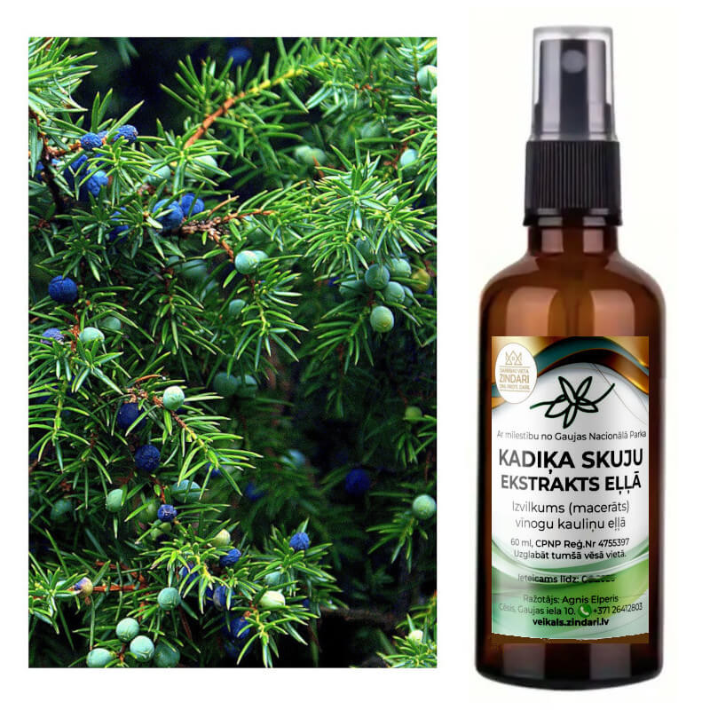 KADIĶA SKUJU EKSTRAKTS