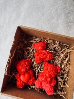 Ziepes Valentīndienas lācīši