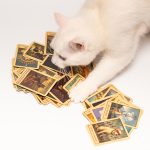 Suņu Taro kārtis - Attēls 3