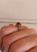 Dzintara tītais gredzens - Attēls 8