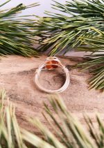 Dzintaru tītais gredzens - Attēls 7