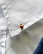 maza mārītes piespraude broša