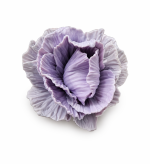 gredzens ar ziedu violets