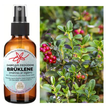 Dabīgais ziedūdens (hidrolāts) BRŪKLENE