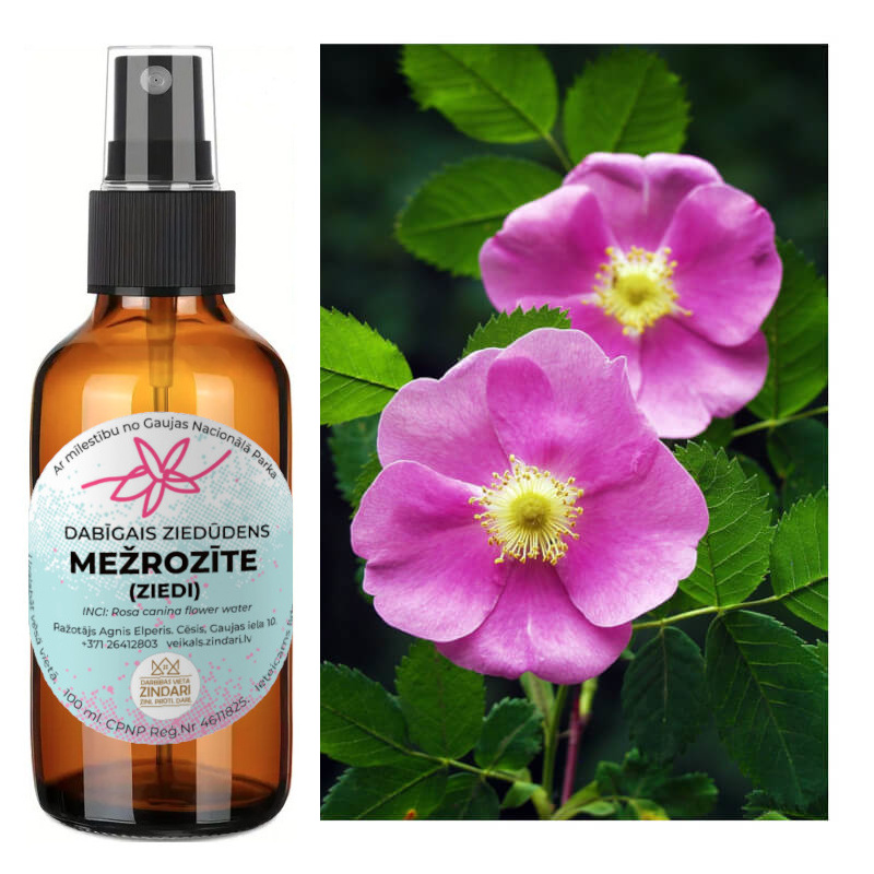 Mežrozīšu hidrolāts