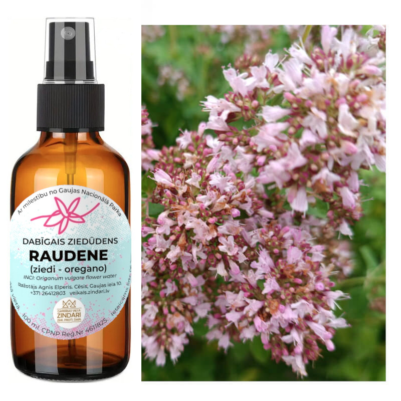 Dabīgais ziedūdens (hidrolāts) RAUDENE (oregano)